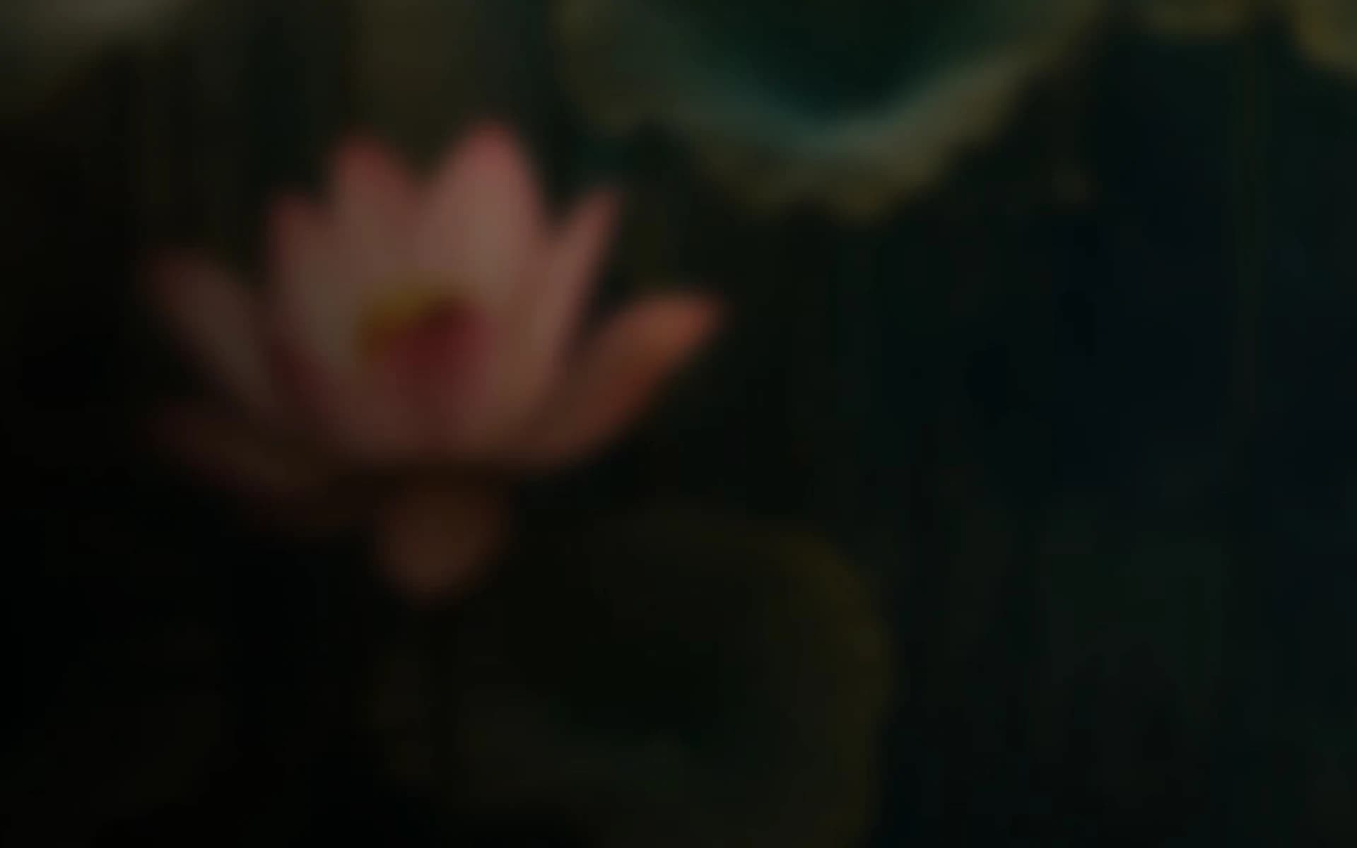 Why We Began background